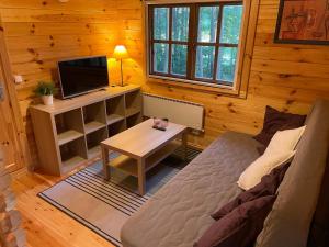 een woonkamer met een bed, een tv en een tafel bij Vila Paradise Bay in Smalvos