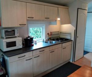 a kitchen with a sink and a microwave at Chalet De Eekhoorn in Diever