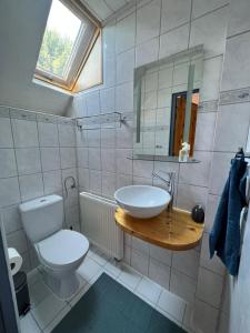 ein Badezimmer mit einem WC, einem Waschbecken und einem Spiegel in der Unterkunft Ferienhaus Odenwald in Michelstadt