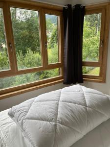 a bed in a room with two windows at Charmant appartement 3 pièces - 6 personnes in Châtel