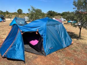 Gallery image of CAMPING LASTE in Smoković