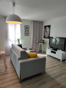 a living room with a couch and a tv at Le Manhattan 3*, Lumineux , calme vue sur le lac in Bruges