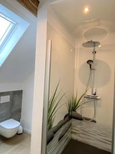 W łazience znajduje się prysznic i toaleta. w obiekcie Gästehaus Rheinromantik w mieście Bacharach