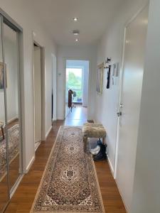 斯坎訥堡的住宿－Søbyen，走廊上铺着地毯,铺着地毯的西德克斯椅子