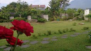 Zahrada ubytování Slow Fly B&B