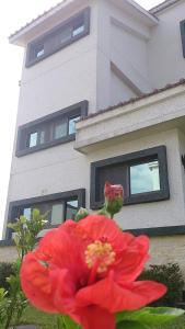 Budova, kde se bed and breakfast nachází