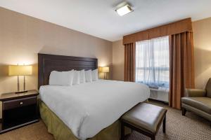 a hotel room with a large bed and a chair at Best Western Bonnyville Inn & Suites in Bonnyville