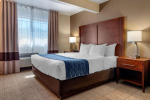 ユカイアにあるComfort Inn & Suites Ukiah Mendocino Countyのベッドと大きな窓が備わるホテルルームです。