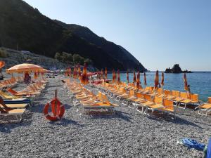 - un groupe de chaises longues et de parasols sur une plage dans l'établissement Affittacamere DA MARIA TERESA, à Sestri Levante