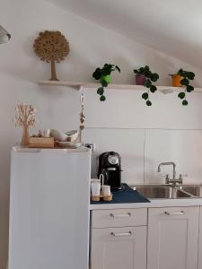 a kitchen with a sink and a white refrigerator at La Quercia in Altavilla Silentina +17 photos