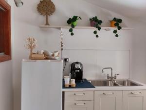 a kitchen with a sink and a white refrigerator at La Quercia in Altavilla Silentina