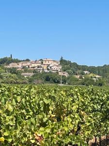un campo de col con una ciudad en el fondo en Villa provençale entre Cévennes et Provence avec une grande piscine et un terrain de pétanque, en Martignargues