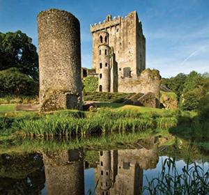 un castillo con dos torres y un reflejo en el agua en Mulberry Lodge, en Blarney