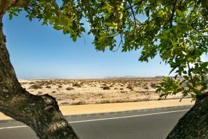 una vista del desierto desde un árbol cerca de una carretera en Apartamentos Vistas Dunasol, en Corralejo