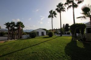 Táj Show holiday homes közelében