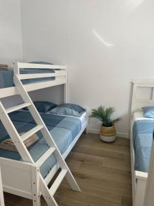 1 dormitorio con 2 literas y una maceta en UIM Mediterraneo PB Luis Vives Wifi, en Puerto Sagunto