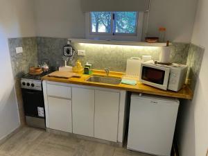 a kitchen with a sink and a microwave on a counter at CasitaLiu in Villa General Belgrano