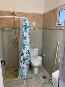 a bathroom with a toilet and a shower with a shower curtain at CasitaLiu in Villa General Belgrano
