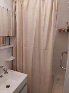 bagno con tenda per la doccia e lavandino di SOHO PETIT STUDIO - EXCELENTE UBICACIÓN - Súper cómodo, completo - PALERMO a Buenos Aires