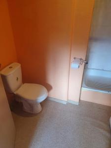 a bathroom with a toilet and a roll of toilet paper at Ukstiņa ielas apartamenti in Liepāja
