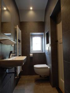 baño con aseo y lavabo y ventana en Recreatieappartement BoerdeRijlst - De Winkel, en Sint Nicolaasga