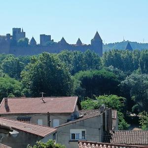 a view of a city with buildings and trees at Entre Bastide et Cité et son rooftop in Carcassonne +32 photos