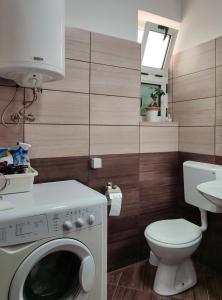 La salle de bains est pourvue d'un lave-linge et de toilettes. dans l'établissement Apartment MILA city center-free parking, à Vranje