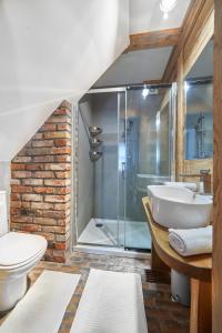 a bathroom with a shower and a sink and a toilet at Dobra Chata Jaśkowo in Wiartel