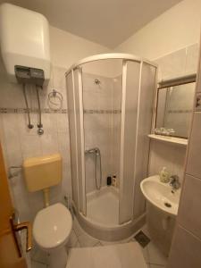 a bathroom with a shower and a toilet and a sink at Apartments Zlosilo in Orasac