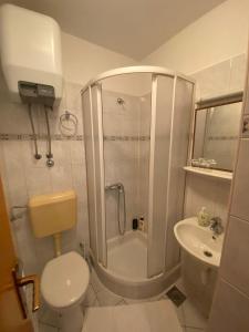 Kúpeľňa v ubytovaní Apartments Zlosilo
