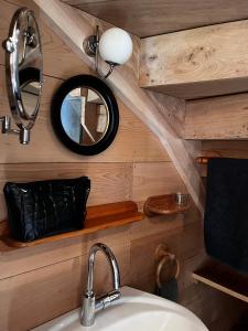 bagno con lavandino e specchio di Enjoy Eco Lodge a Onhaye