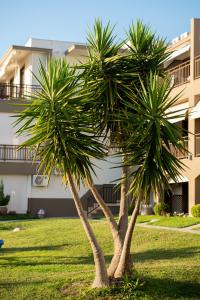 A garden outside Hotel Areti