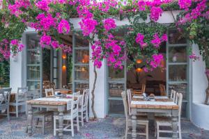 Restaurace v ubytování Flamingo Hotel & Spa - Pet Friendly