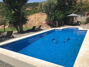 The swimming pool at or close to Studio Views Apartment, Cortijo Fruitful Hills