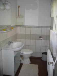 uma casa de banho com um lavatório e um WC em Almagården lantlig miljö em Svängsta