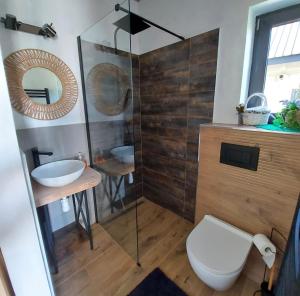 ein Badezimmer mit einem WC, einem Waschbecken und einem Spiegel in der Unterkunft Polana Widokówka in Lipnica Wielka