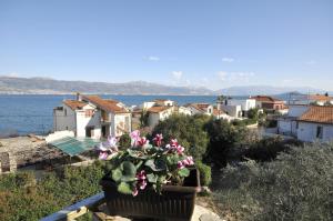 una maceta de flores sentada en una cornisa cerca del agua en Apartments by the sea Arbanija, Ciovo - 11592 en Trogir