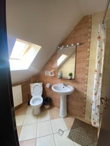 a bathroom with a toilet a sink and a mirror at Pensiunea Sandra in Bran +17 photos