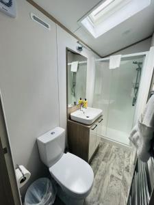 a bathroom with a toilet and a sink at Fir Tree Lodge with Hot Tub in York