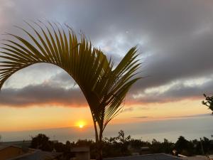 un palmier devant un coucher de soleil dans l'établissement La Petite Escale du Maïdo, à Saint-Paul