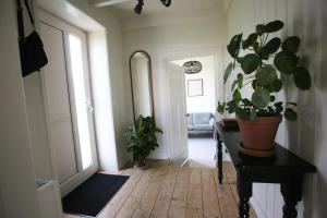 um corredor com um espelho e um vaso de plantas sobre uma mesa em Recreatieappartement BoerdeRijlst - De Kamer em Sint Nicolaasga