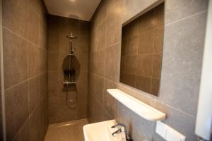 La salle de bains est pourvue de toilettes, d'un lavabo et d'un miroir. dans l'établissement Recreatieappartement BoerdeRijlst - De Kamer, à Sint Nicolaasga