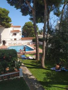 a swimming pool with trees and people in the grass at Apartamentos Mallorca Casa Azahar in Alcossebre +14 photos