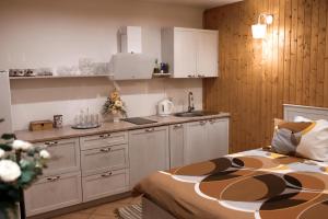 a small kitchen with a bed in a room at Villa Avoti in Sigulda