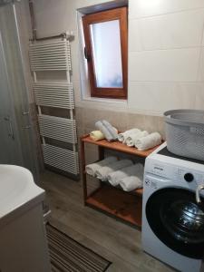 y baño con lavadora y espejo. en Apartma pri Bregarju, en Bohinj