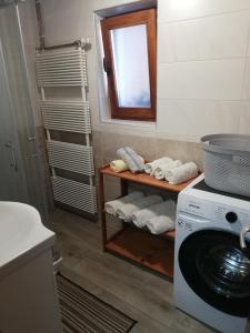 een badkamer met een wasmachine en een spiegel bij Apartma in soba pri Bregarju in Bohinj