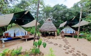 Zahrada ubytování Finca de la Vaca - Glamping