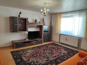 a living room with a tv and a large rug at Apartment Hernals in Vienna