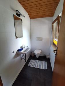 mała łazienka z umywalką i toaletą w obiekcie Haus Gabi w Neustift im Stubaital +27 zdjęć