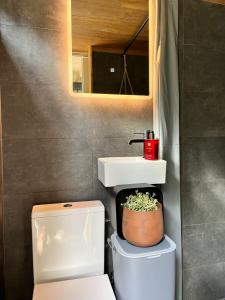 a bathroom with a sink and a toilet and a mirror at Bramble Tiny House in Zărneşti